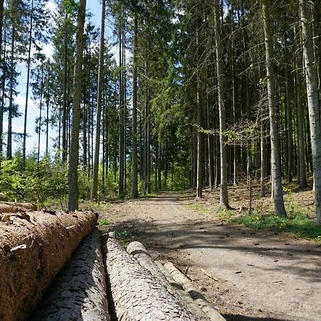 Seepark Kirchheim Ferienhaus Bei Anne Mit Sauna Kültér fotó
